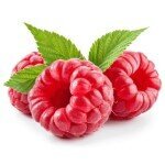 Bewässerung für Himbeeren