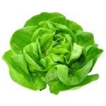 Salat