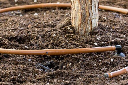 tropfbewaesserung-im-eigenen-garten-fuer-beete-kuebel-und-toepfe